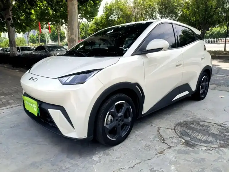 BYD Seagull