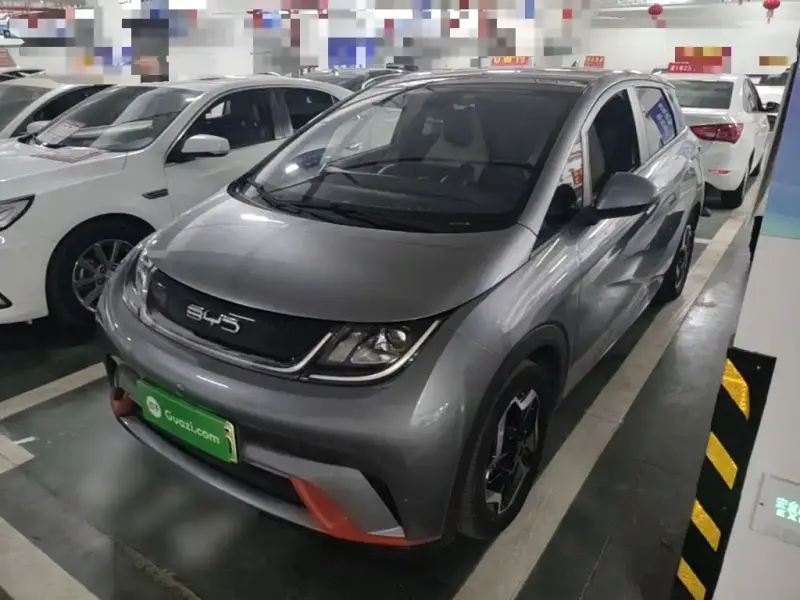 BYD Dolphin