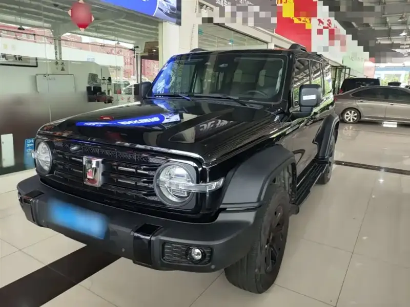 Tank 300