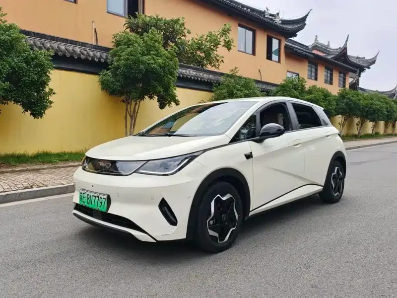 BYD Dolphin