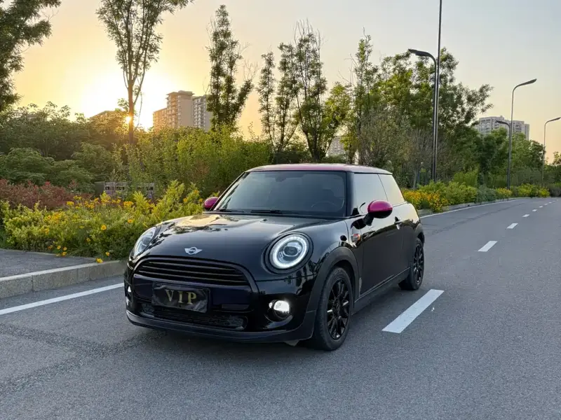 MINI Mini