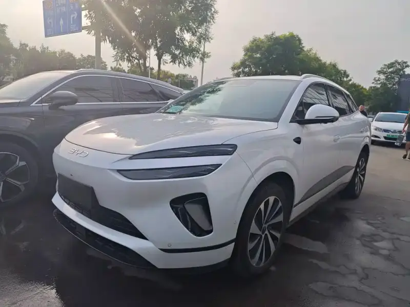 BYD Sea Lion 06