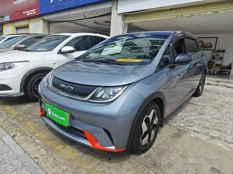 BYD Dolphin