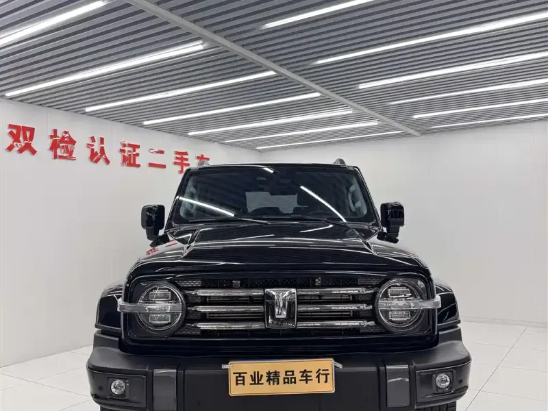 Tank 300