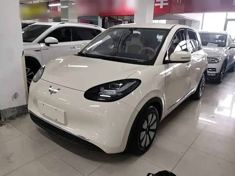 Wuling Bingo