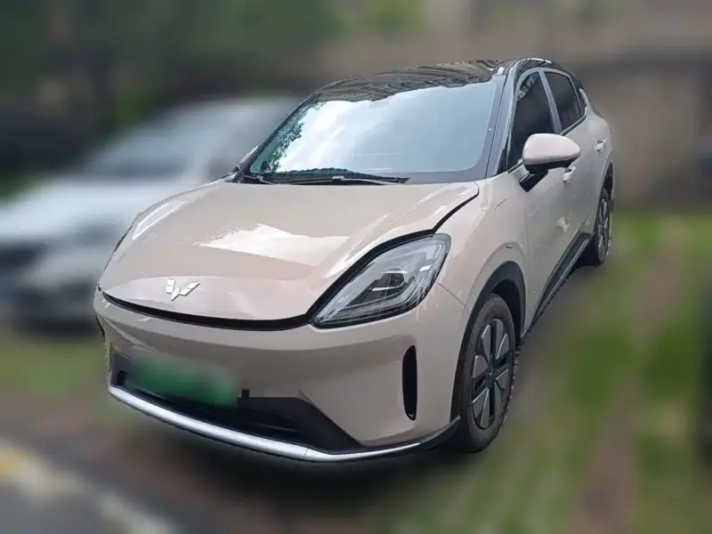 Wuling Bingo S
