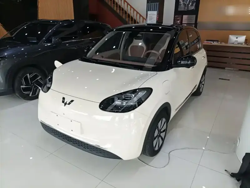 Wuling Bingo