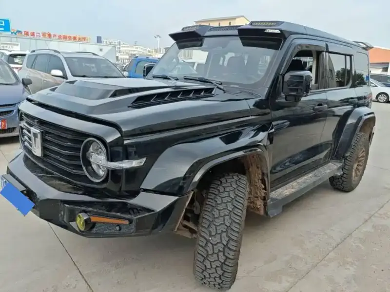 Tank 300