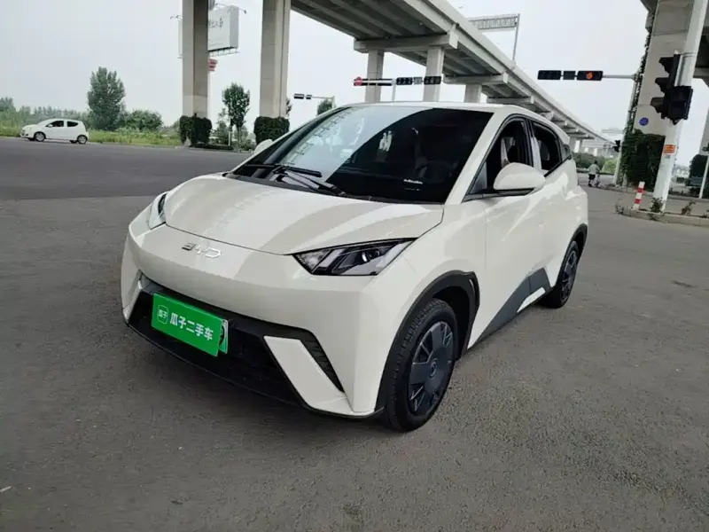 BYD Seagull