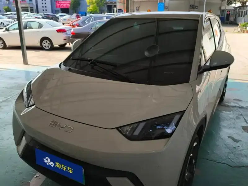 BYD Seagull