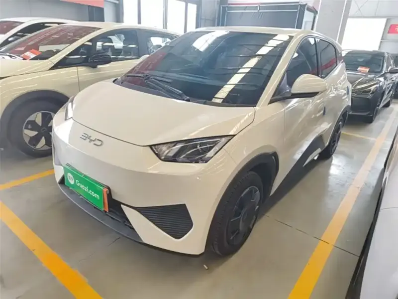 BYD Seagull