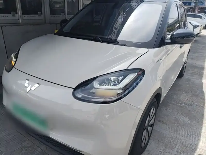 Wuling Bingo