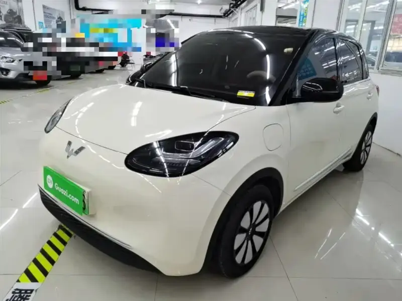 Wuling Bingo