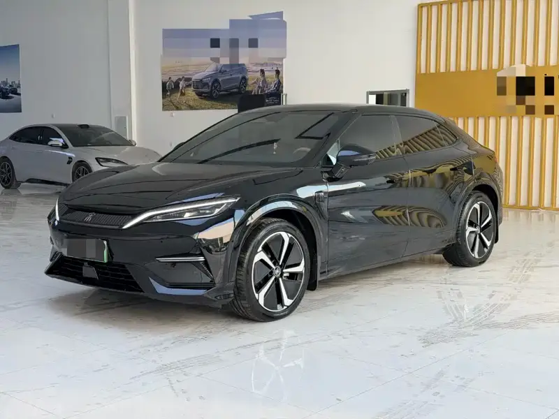 BYD L EV