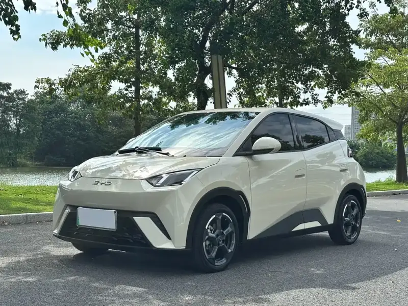 BYD Seagull