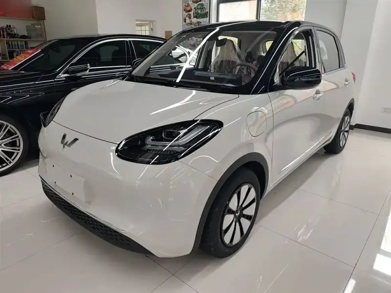 Wuling Bingo