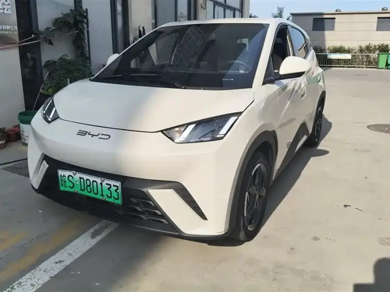 BYD Seagull