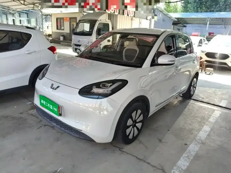Wuling Bingo