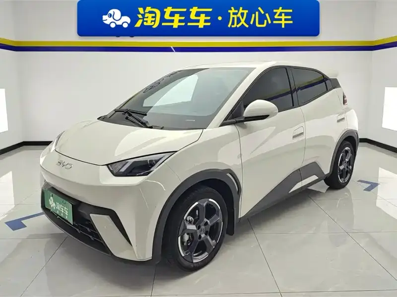 BYD Seagull