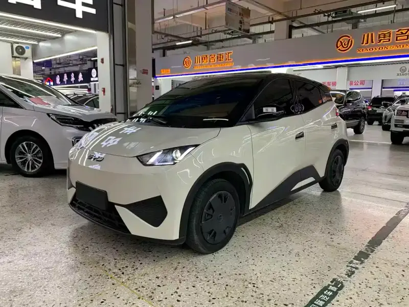 BYD Seagull
