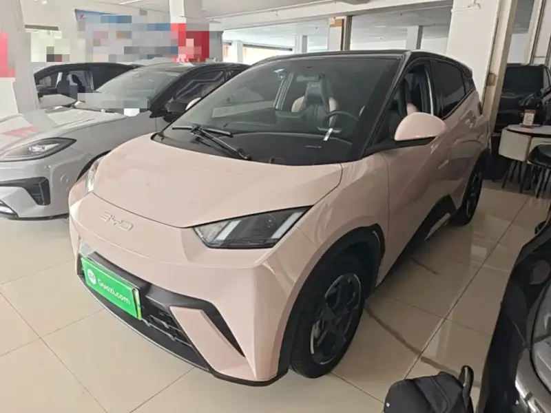 BYD Seagull