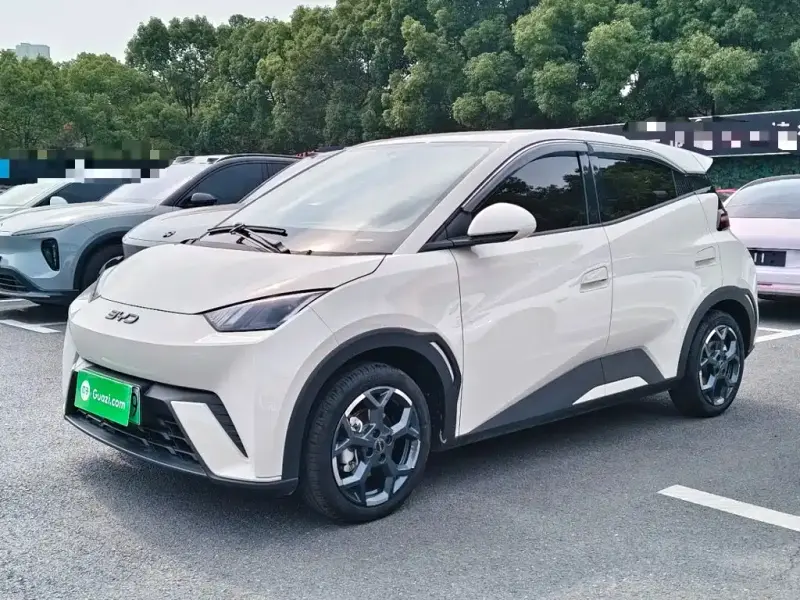 BYD Seagull