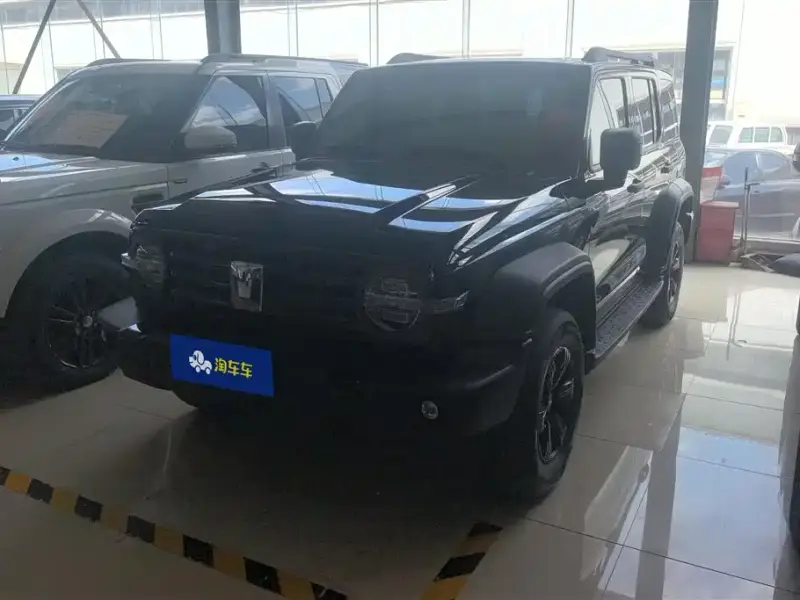 Tank 300