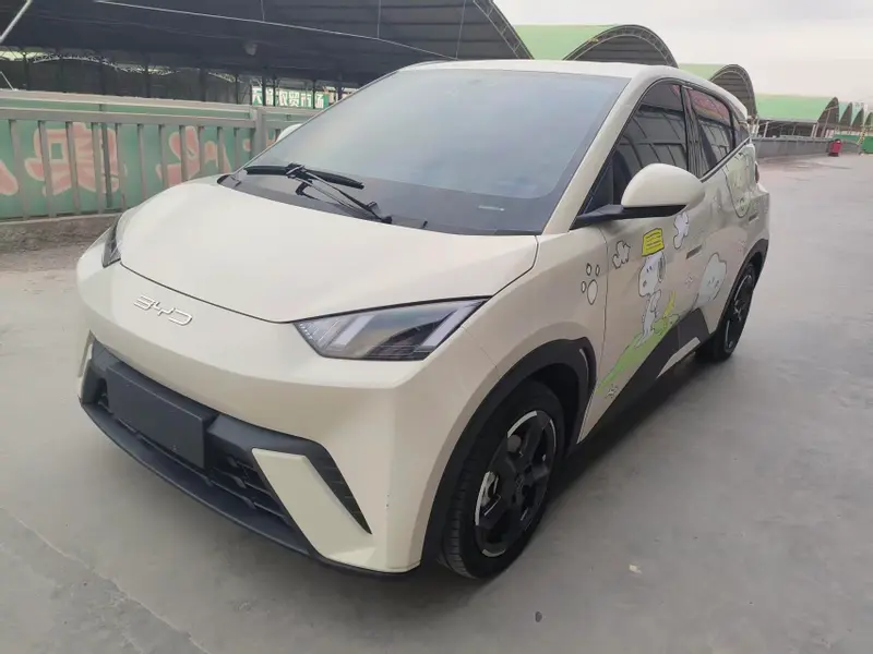 BYD Seagull