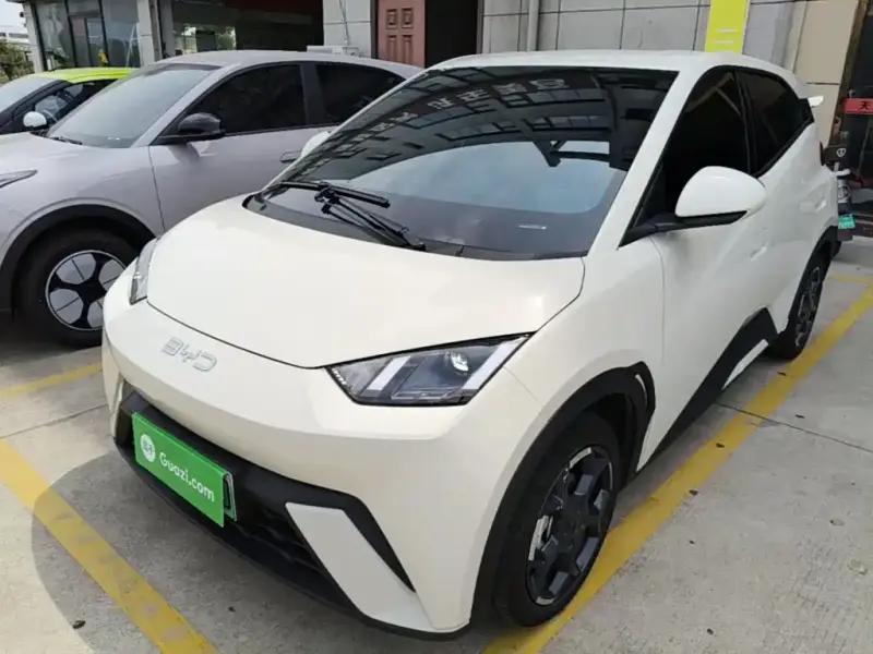 BYD Seagull