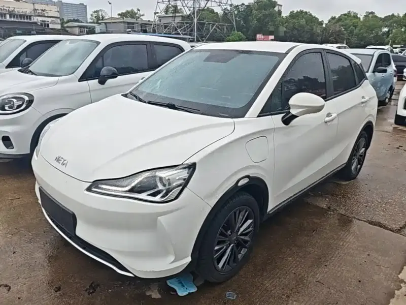 Neta V