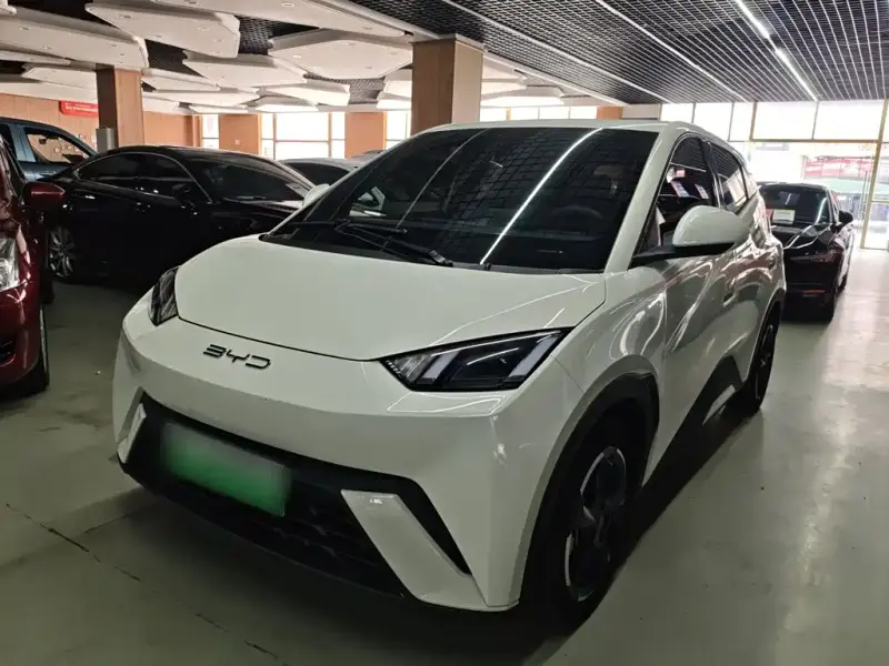 BYD Seagull