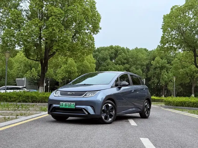 BYD Dolphin