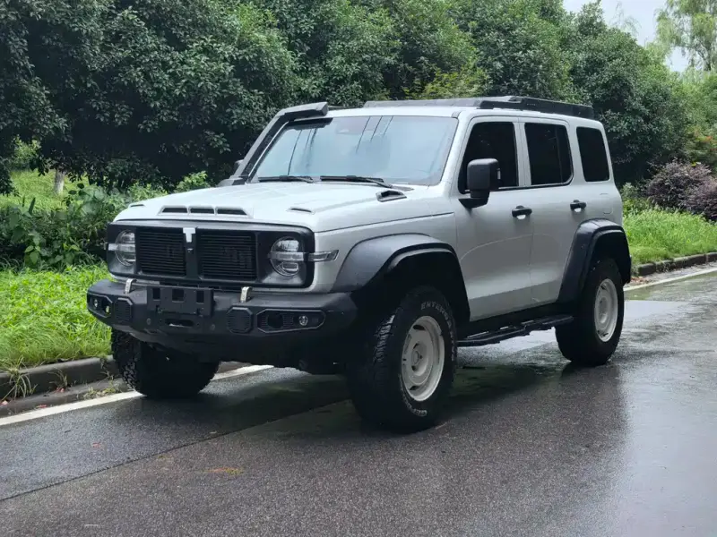 Tank 300
