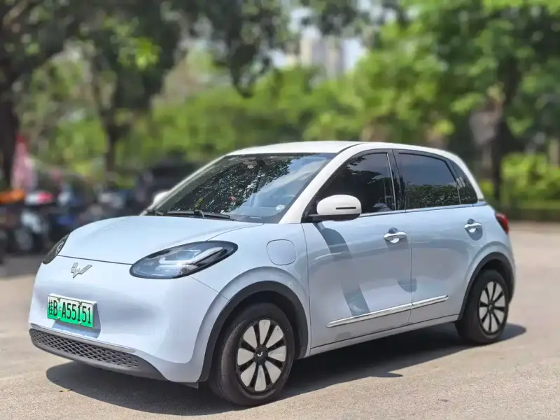 Wuling Bingo
