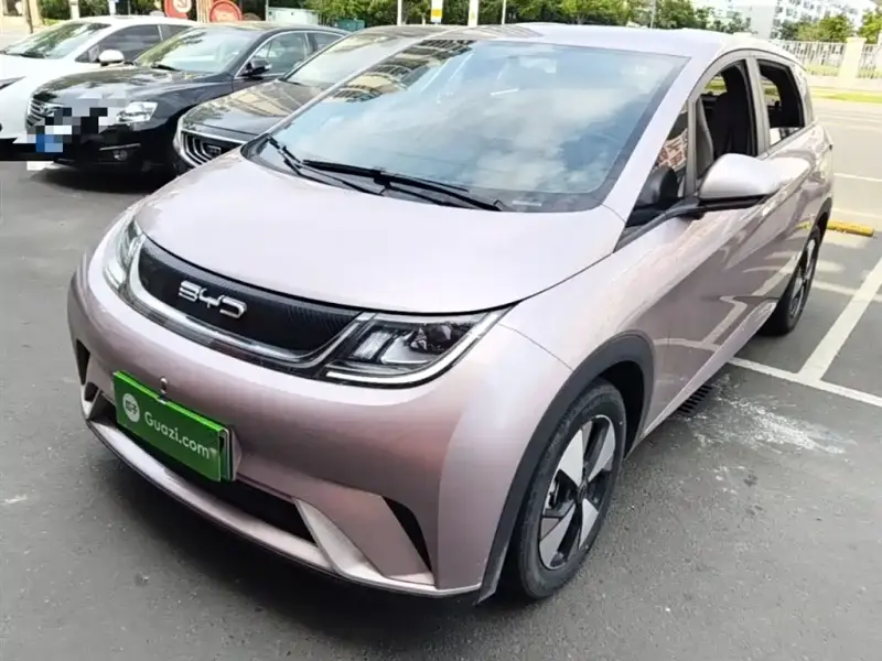 BYD Dolphin