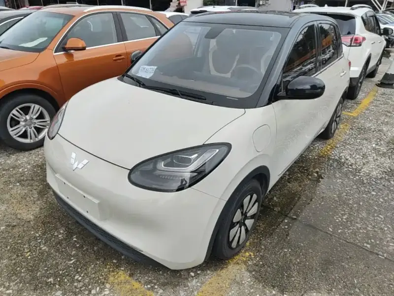 Wuling Bingo