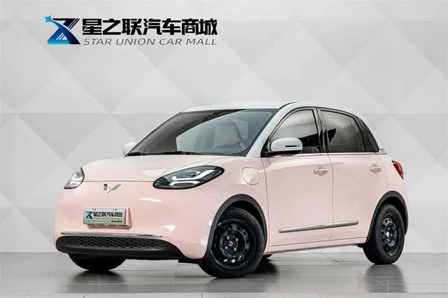Wuling Bingo