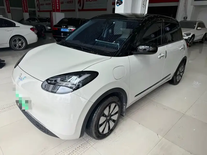 Wuling Bingo