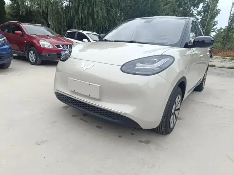 Wuling Bingo