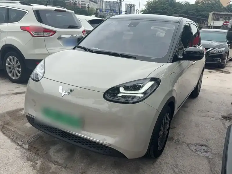 Wuling Bingo