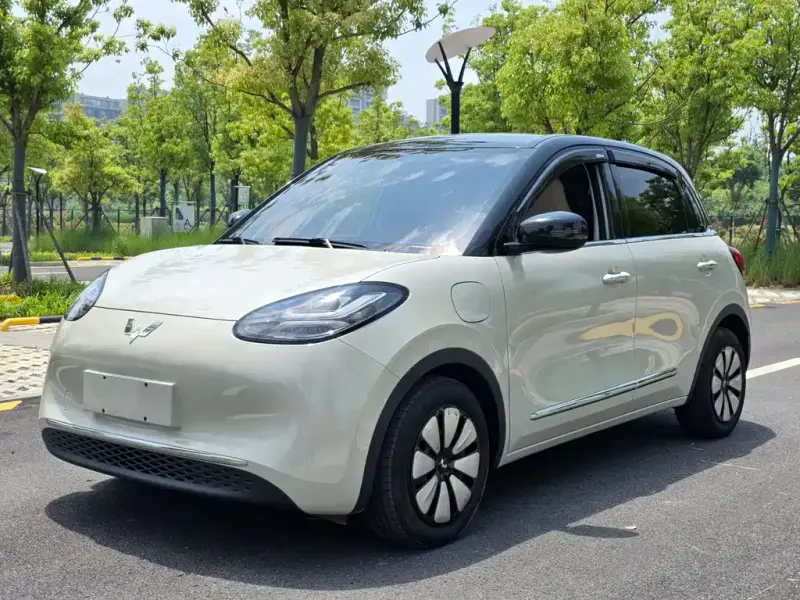 Wuling Bingo