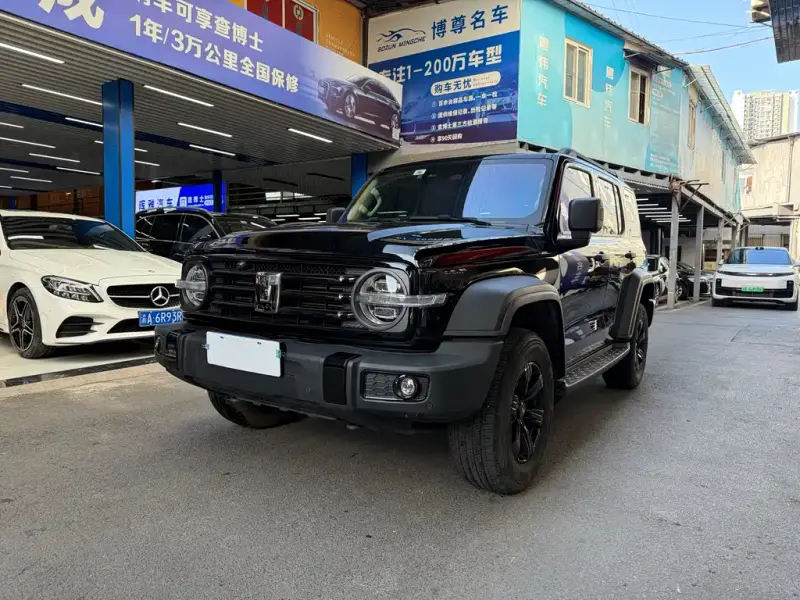 Tank 300