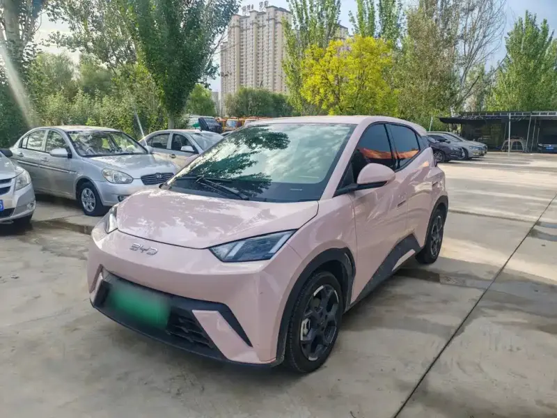 BYD Seagull
