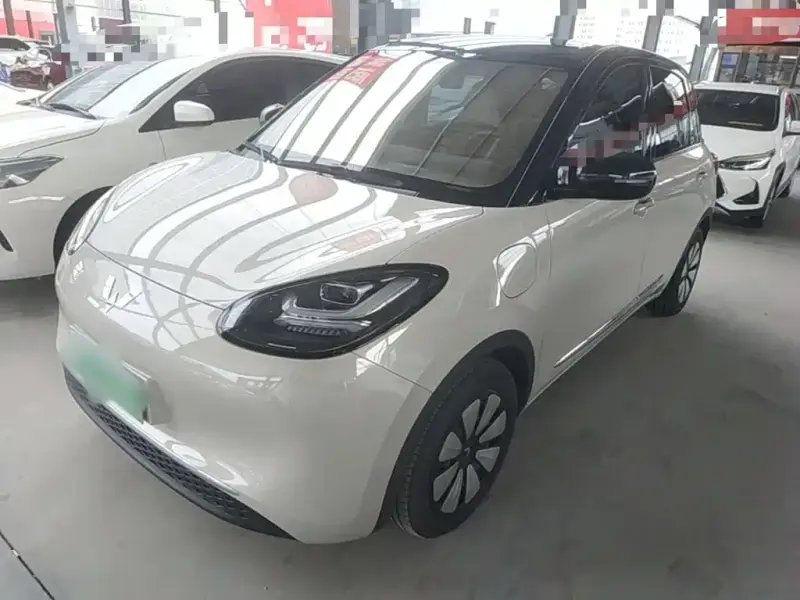 Wuling Bingo