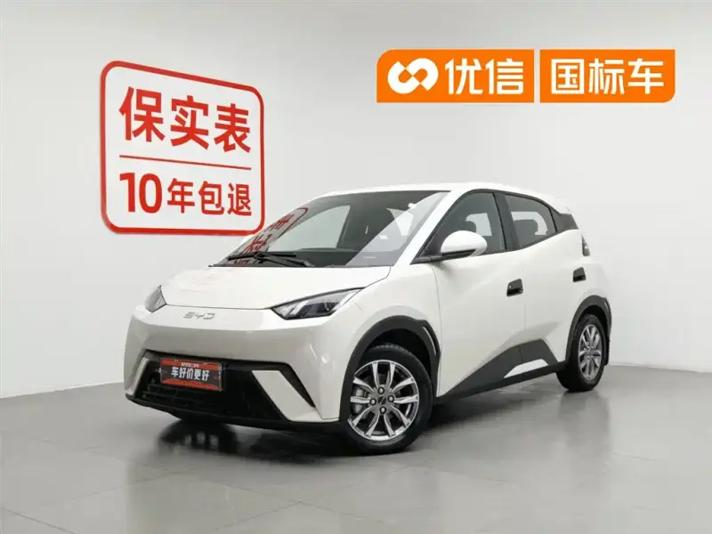 BYD Seagull