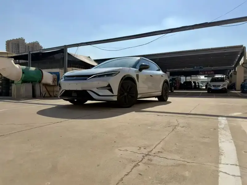 BYD L EV