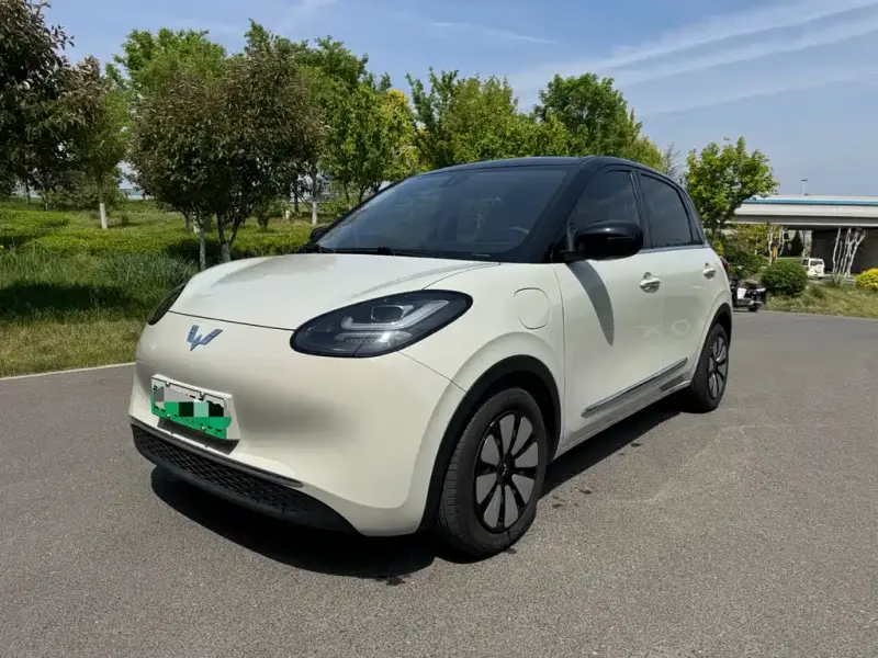 Wuling Bingo