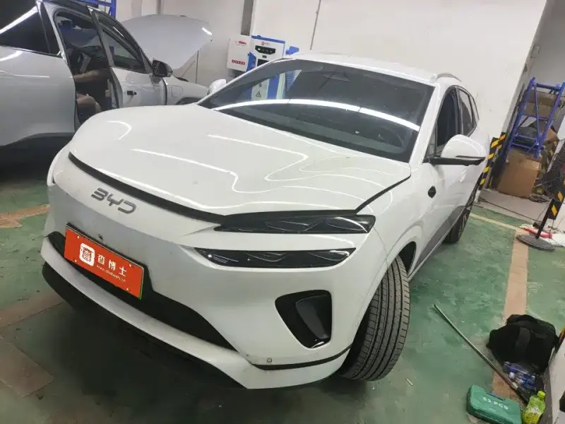 BYD Sea Lion 06