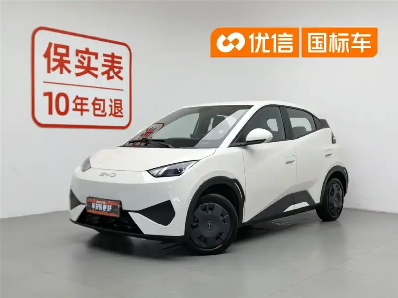 BYD Seagull