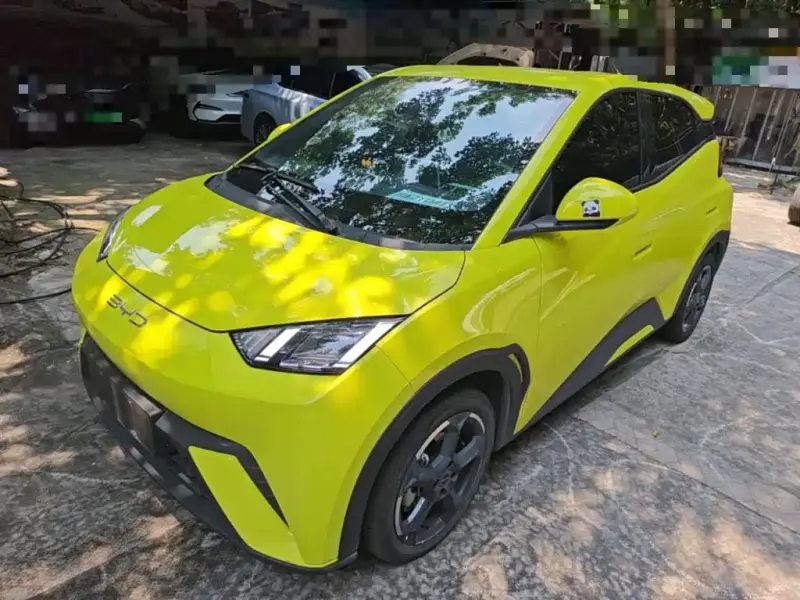 BYD Seagull